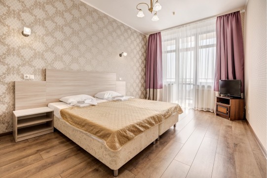 Люкс трехкомнатный 2-х местный