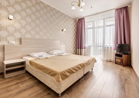 Люкс трехкомнатный 2-х местный