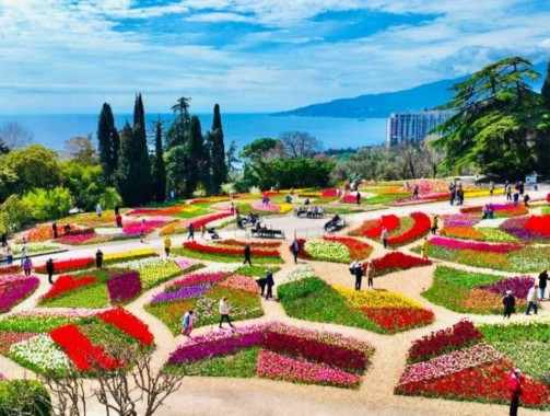 Парад тюльпанов в Никитском ботаническом саду