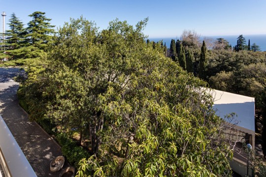 Стандарт однокомнатный 2-х местный (с балконом)