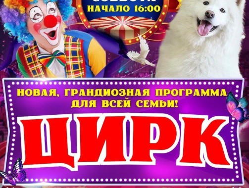 Цирковое представление для всей семьи