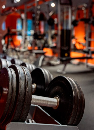 Спортивная жизнь