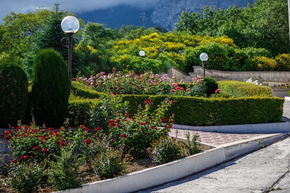 Акция «Лето без забот»