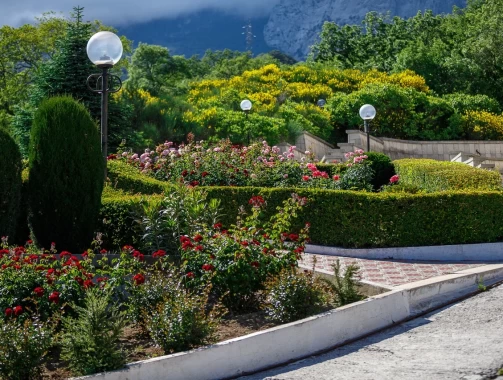 Акция «Лето без забот»