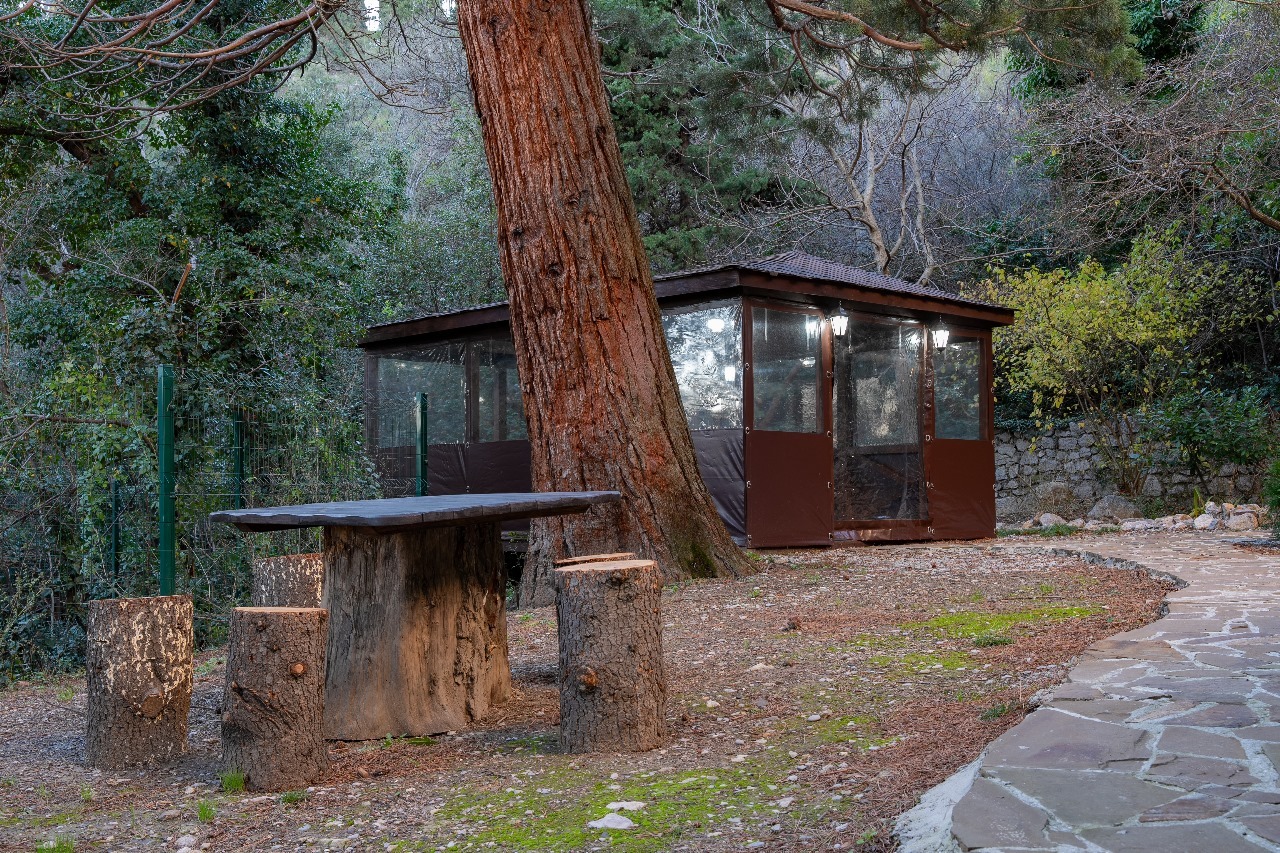 Зона барбекю